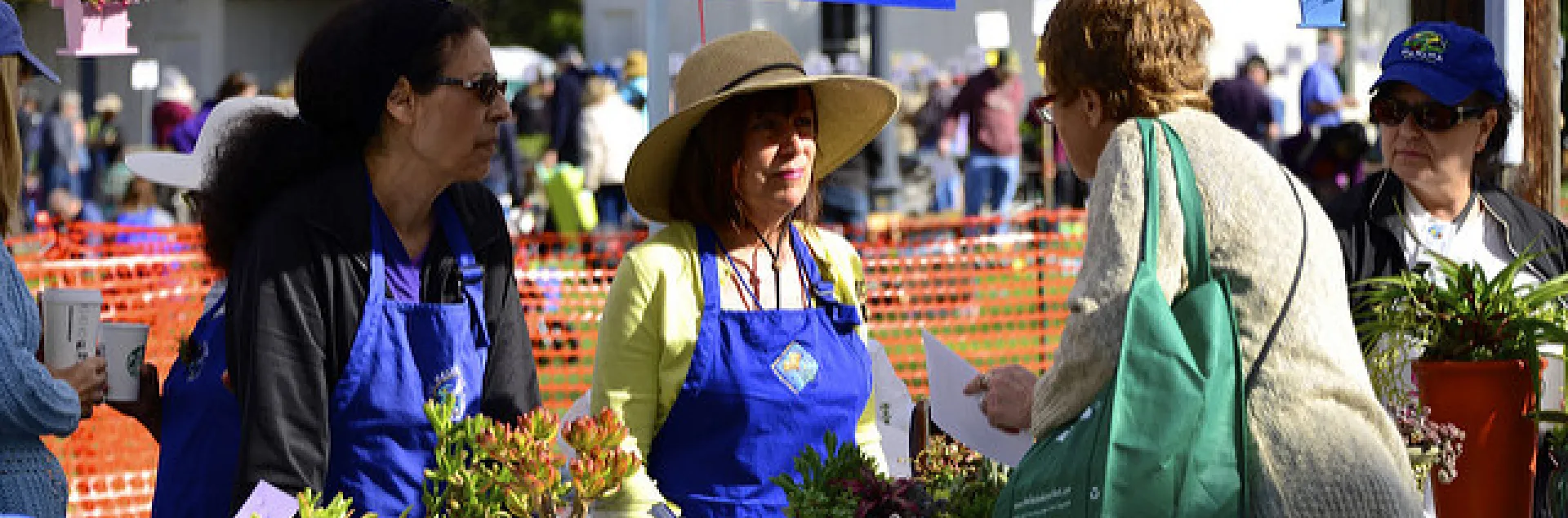Three women in blue aprons provide plant advice at an outdoor event with a sign that reads "PLANT ADVICE," surrounded by potted plants.