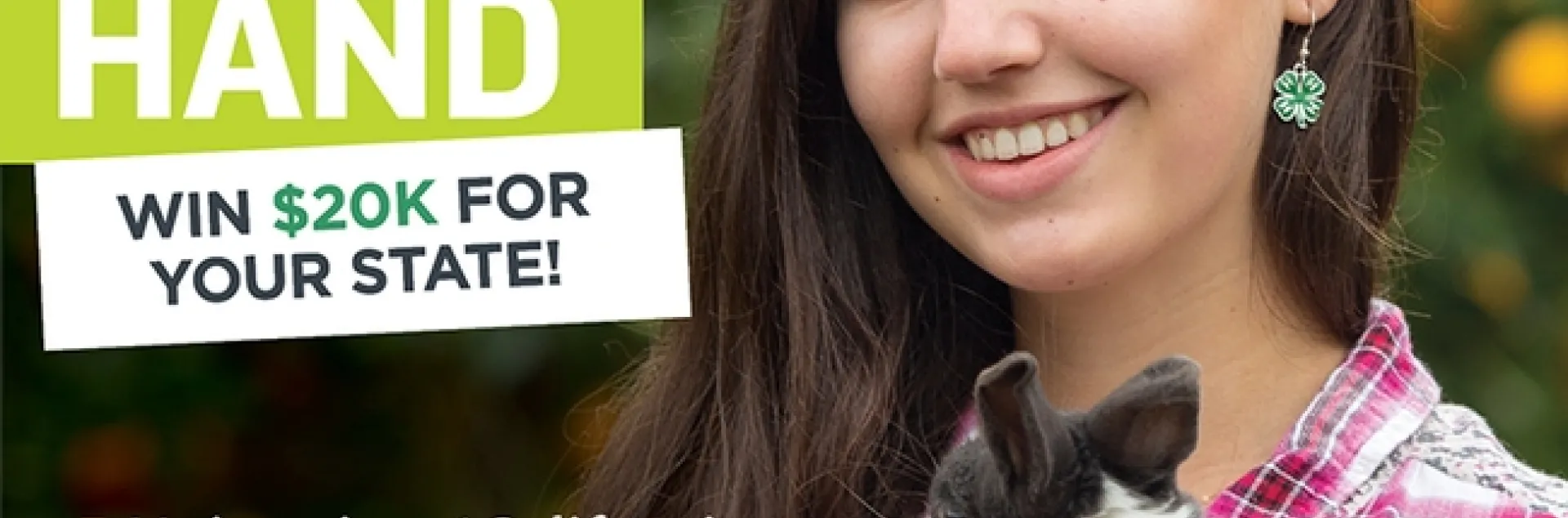 800X800-CA-Bunny-20k-RYH-2018