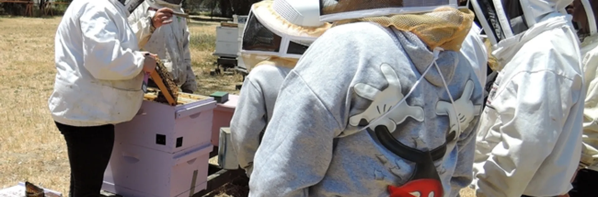 Extension apiculturist Elina Lastro Niño (left) demonstrates how to open a hive to a UC Davis summer camp. She'll be giving three live bee demonstrations at the California Honey Bee Festival: the first at 11:15, then 1 p.m. and the third at 3:45 in the bee tent. (Photo by Kathy Keatley Garvey)