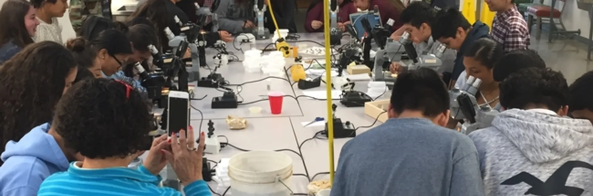 Parlier High School students engaged in an entomology workshop at KARE.