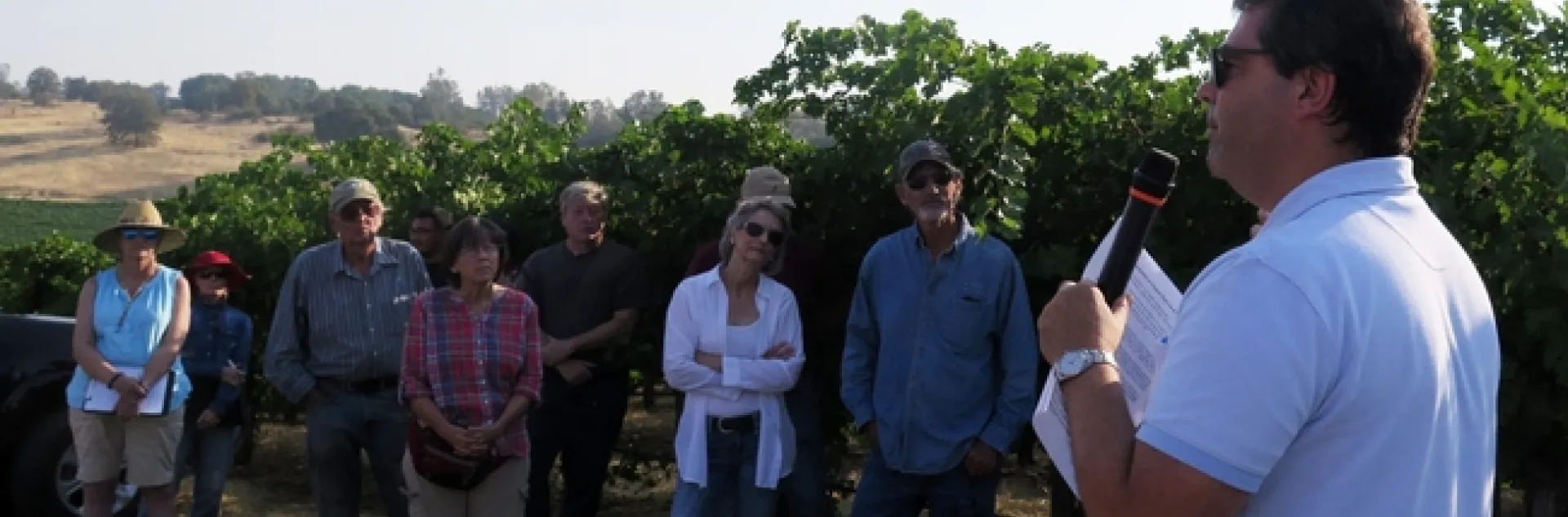 Daniele speaking to a group in a vineyard.