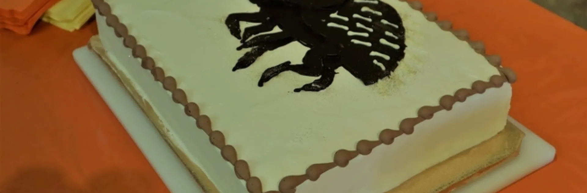 shot hole borer cake