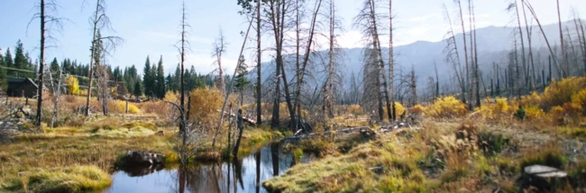 ANR is partnering with UC Merced and UC Irvine scientists to develop new tools and methods for better land management.