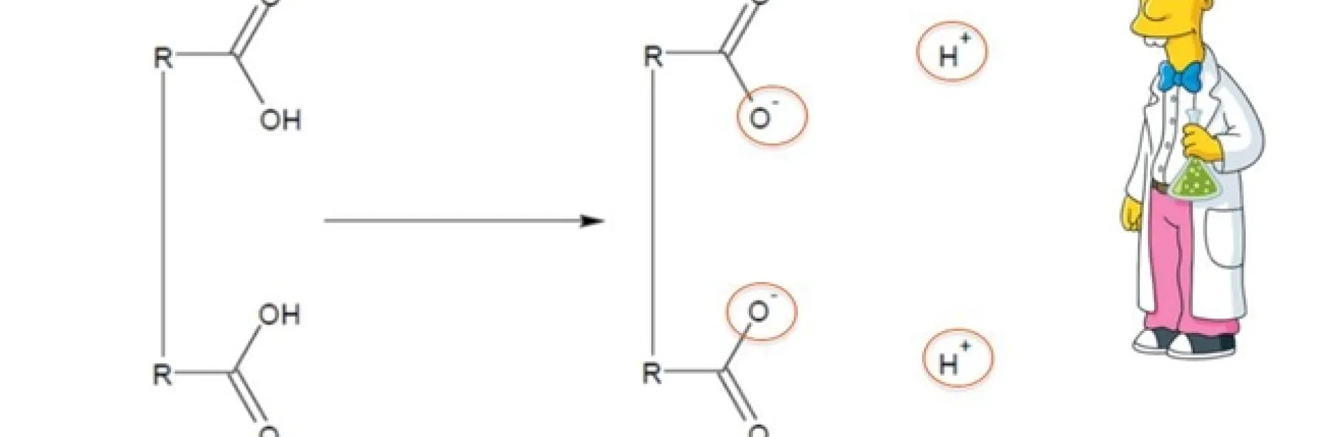 Figure 1. Organic amendments in water produce negatively charged surfaces and acidic conditions.