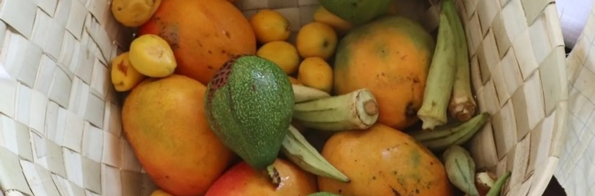 Guinea: Cesta de frutas y verduras frescas, lista para lavar y rebanar, con mangos, aguacates y okra. (Foto del Laboratorio de Innovación de Horticultura por Archie Jarman/UC Davis)