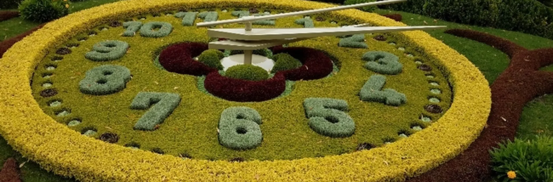 イギリス製　英国ビンテージ　ネイチャークラフト　フラワーチルドレン Geneva's Flower Clock in Le Jardin Anglais | The Backyard Gardener