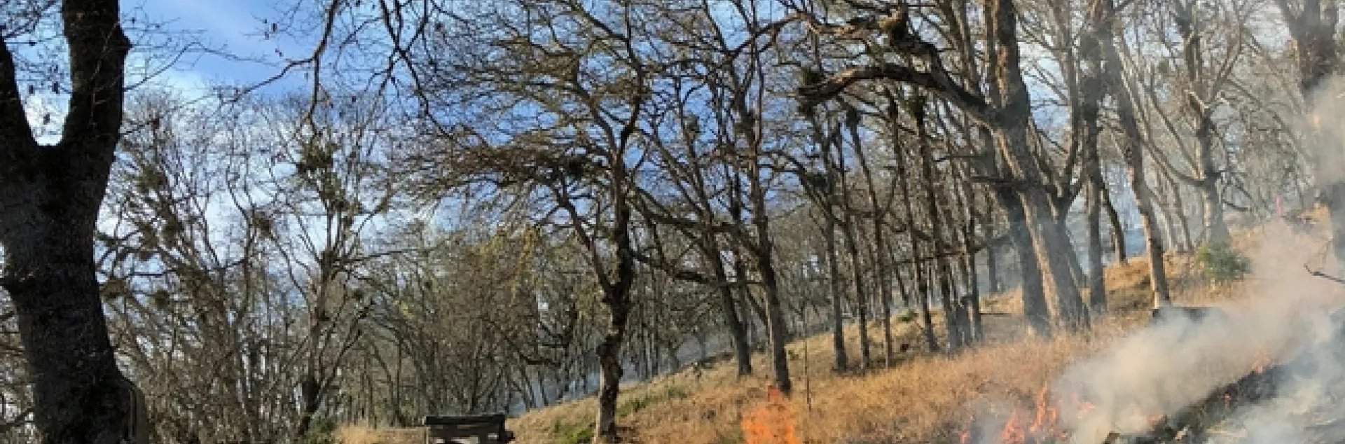 Control burn 3 Lenya Quinn-Davidson