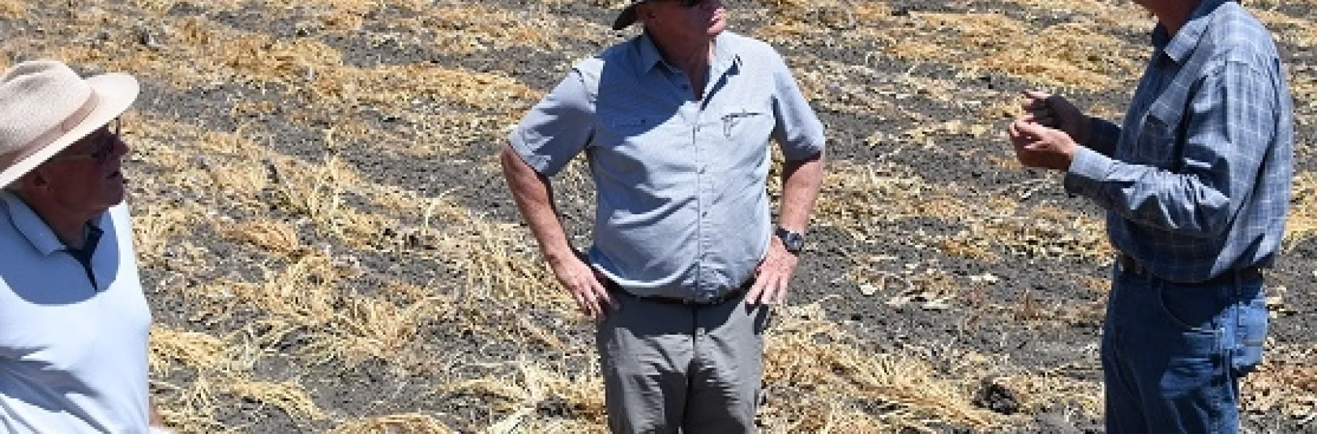 Australian vegetable crop consultants and farmer network coordinators Mike Titley (left) and David Vernon (center), meet with Pinnacles Organic farmer, Phil Foster at his farm in Hollister, CA on August 15, 2019
