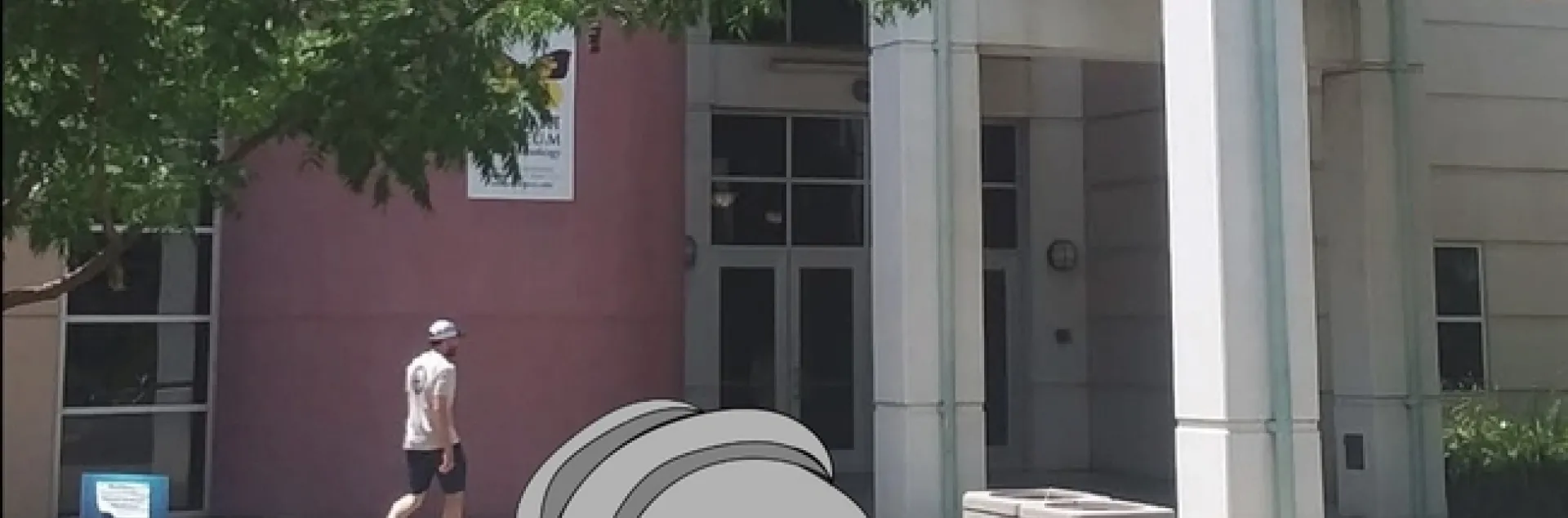 Artist conception of the water bear (tardigrade) sculpture in front of Bohart Museum of Entomology.