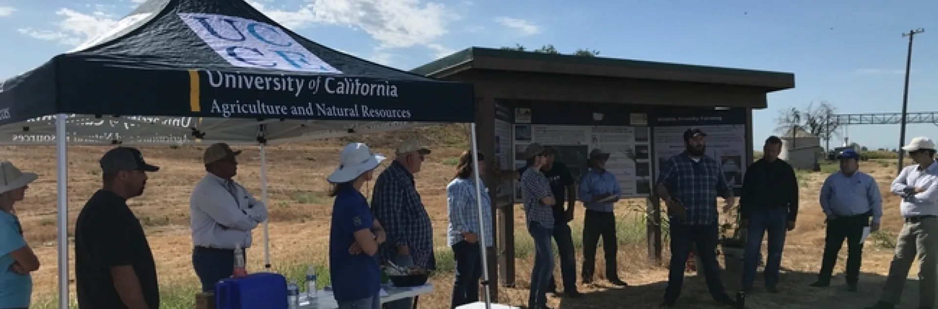 2019 UCCE Soil Health and Cover Cropping Field meeting in the Delta. (Photo courtesy Sarah Light, UCCE.)