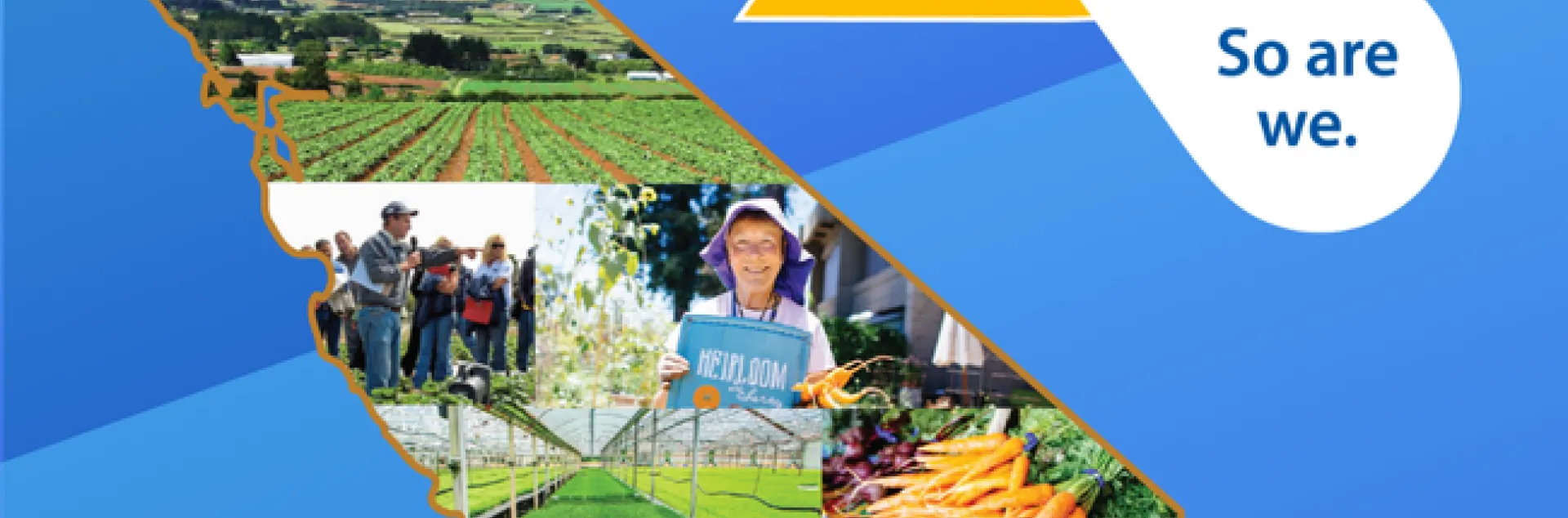 You are here So are we