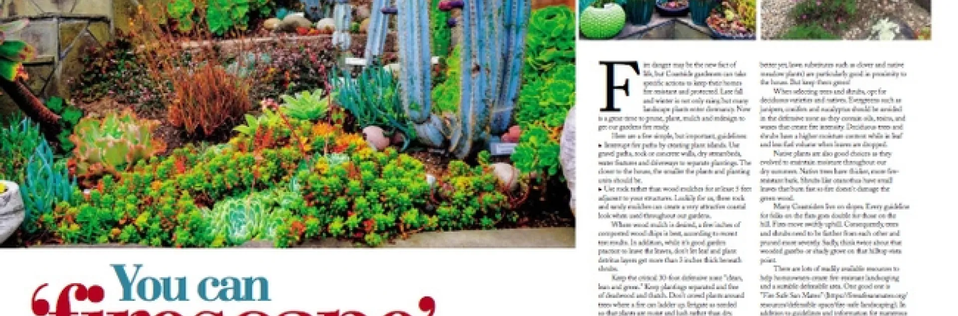 firescape-your-coastal-garden