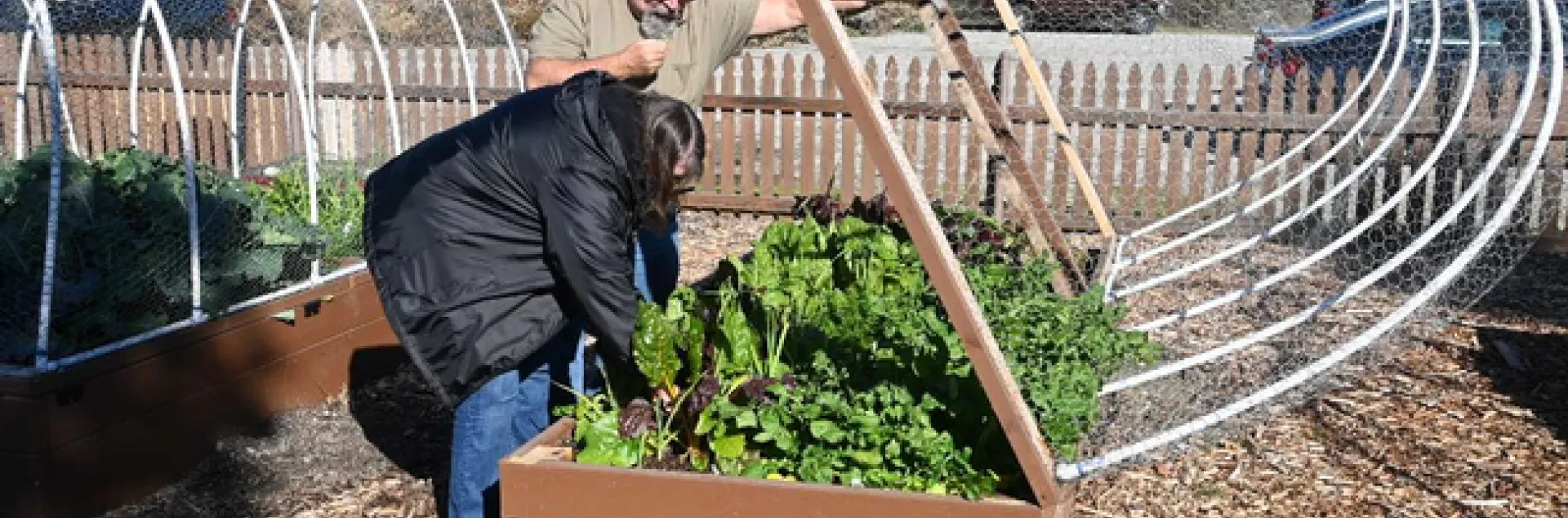 San Bernardino County Master Gardeners Bob and Sharon Yocum insepect veggies at Crafton Hills garden in Yucaipa.