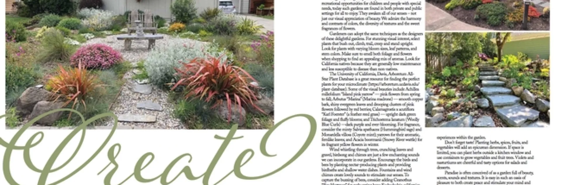 create-a-coastal-sensory-garden