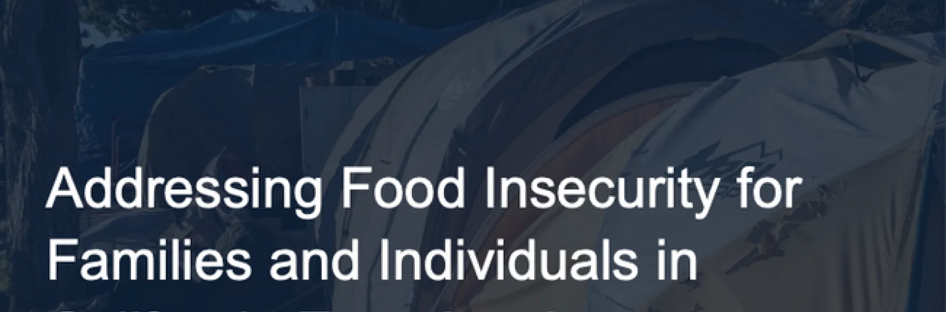 NPI food insecurity report