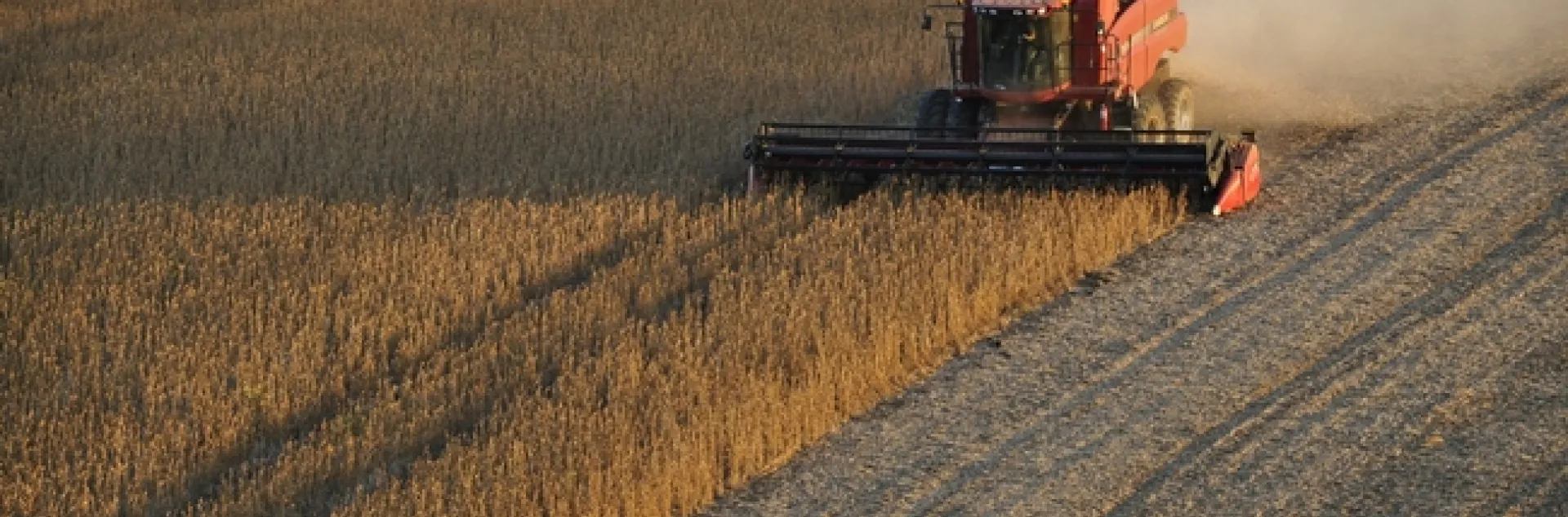 Reductions in nitrogen oxide emissions from coal-fired power plants have increased yields of soy and corn crops. (Photo: Pixabay)