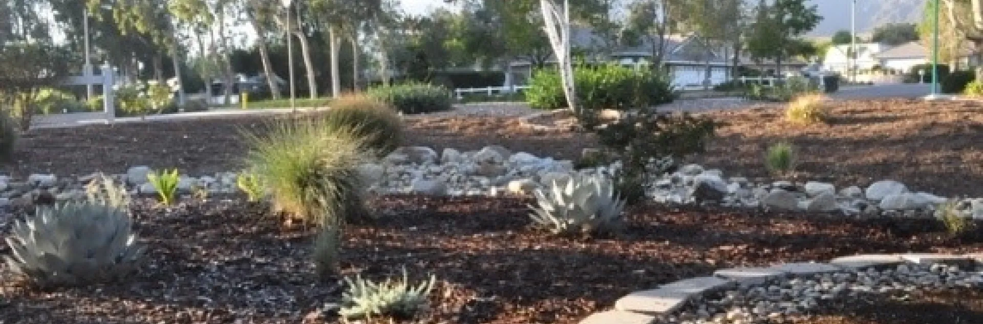 Vikki's Water-Wise Moonlight Garden