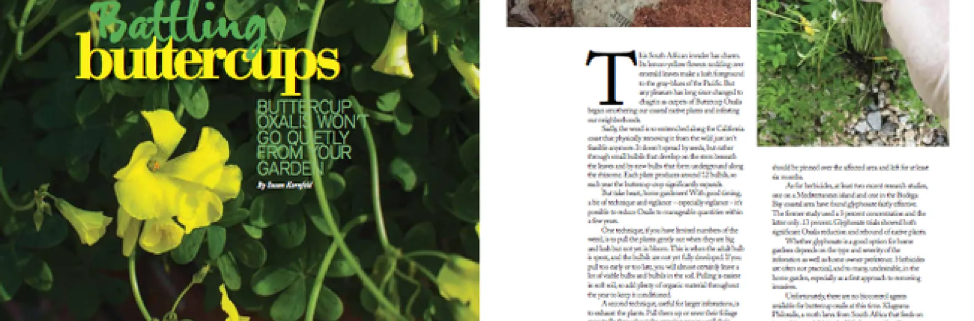 ss march 2020 kornfeld