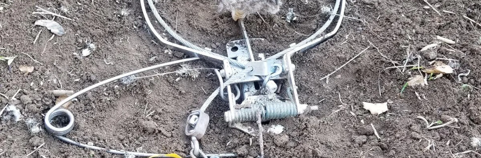 When triggered, this device throws a secure, non-choking cable loop over the coyote’s head. Niamh Quinn, CC BY