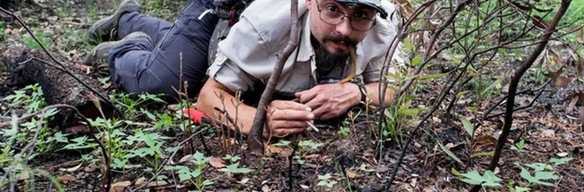 Ant specialist Brendon Boudinot searching for ants at the Southwest Research Station in Chiricahua Mountains near Portal, Arizona. (Photo by Roberto Keller, National Museum of Natural History and Science, Portugal)