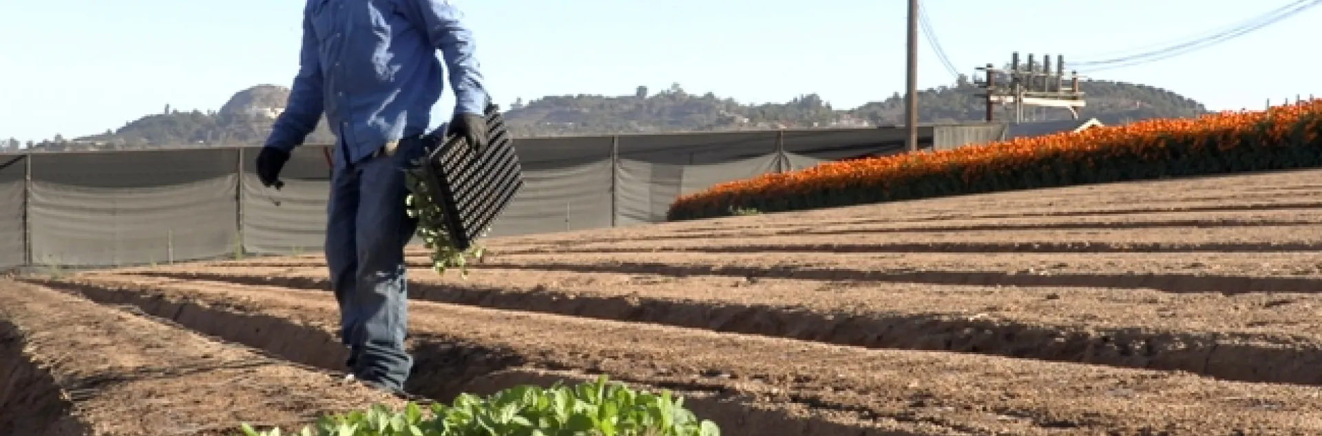 Pequeños productores