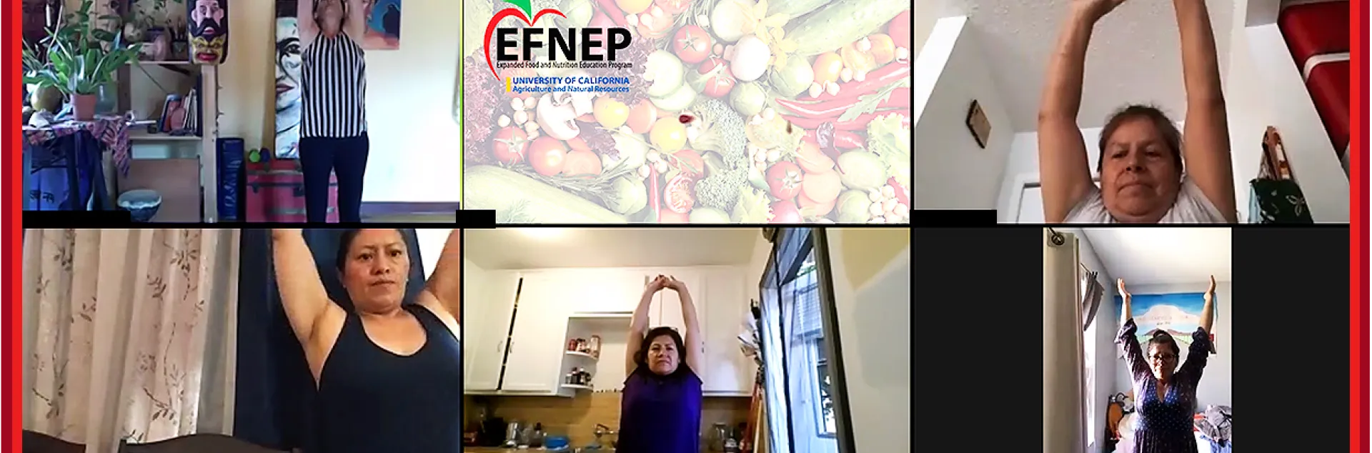 EFNEP-remote-banner-lrg