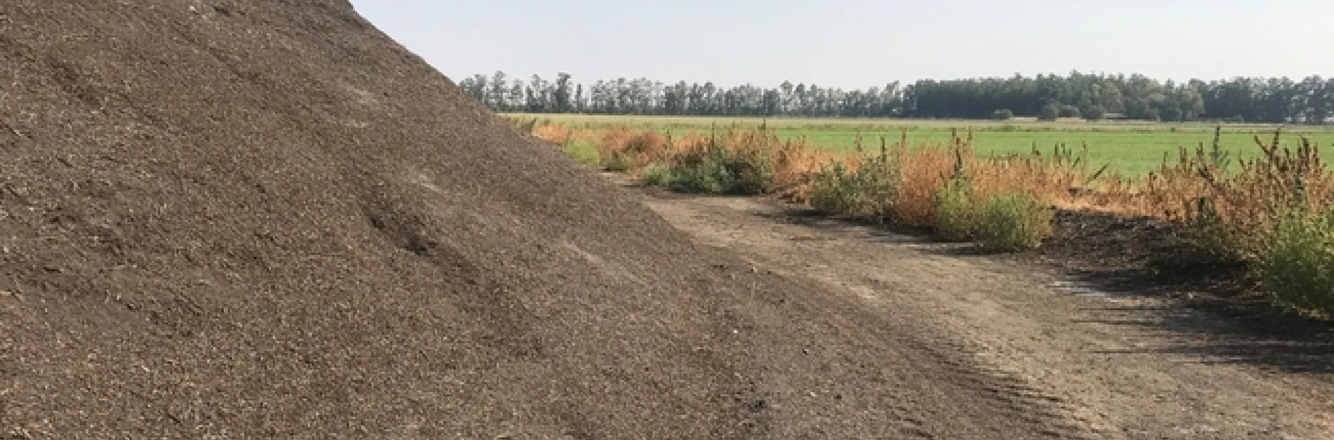 Compost will be evaluated for improving soil structure and fertility in alfalfa via a CDFA Healthy Soils grant.