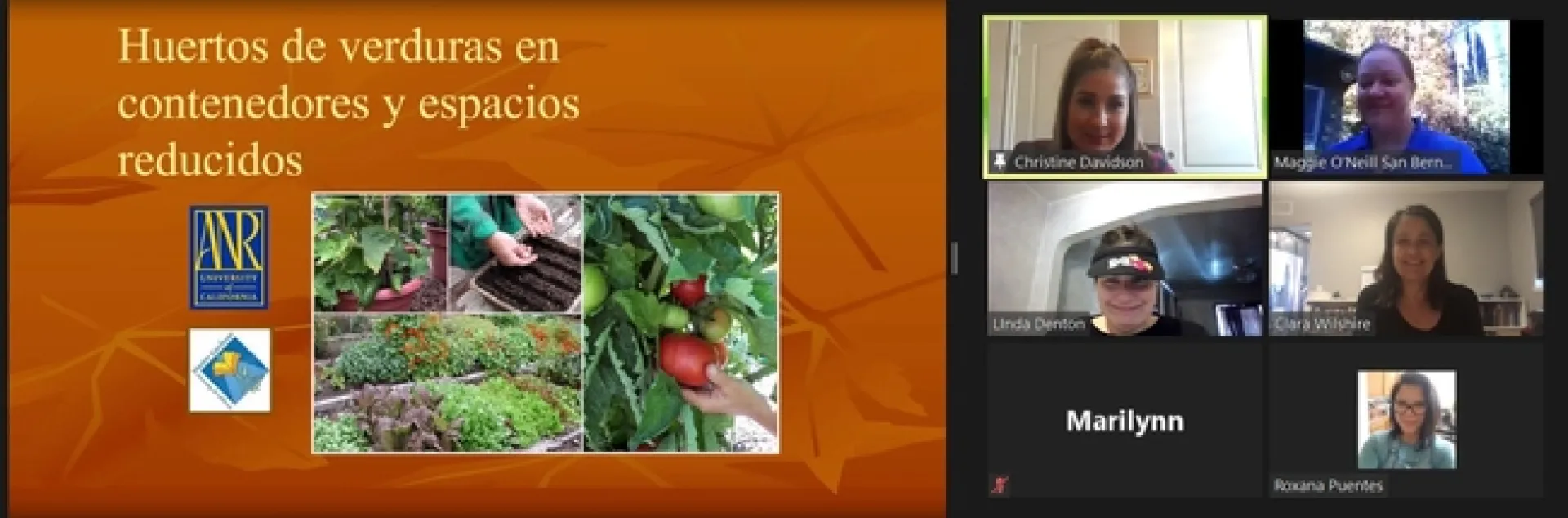 Fall garden fall 2020