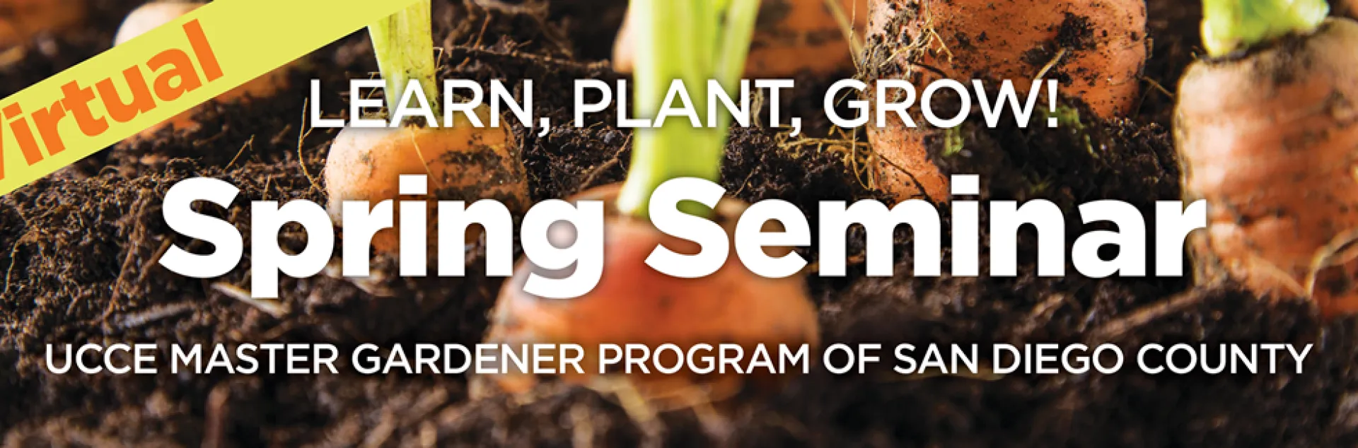VirtualSpringSeminar2021