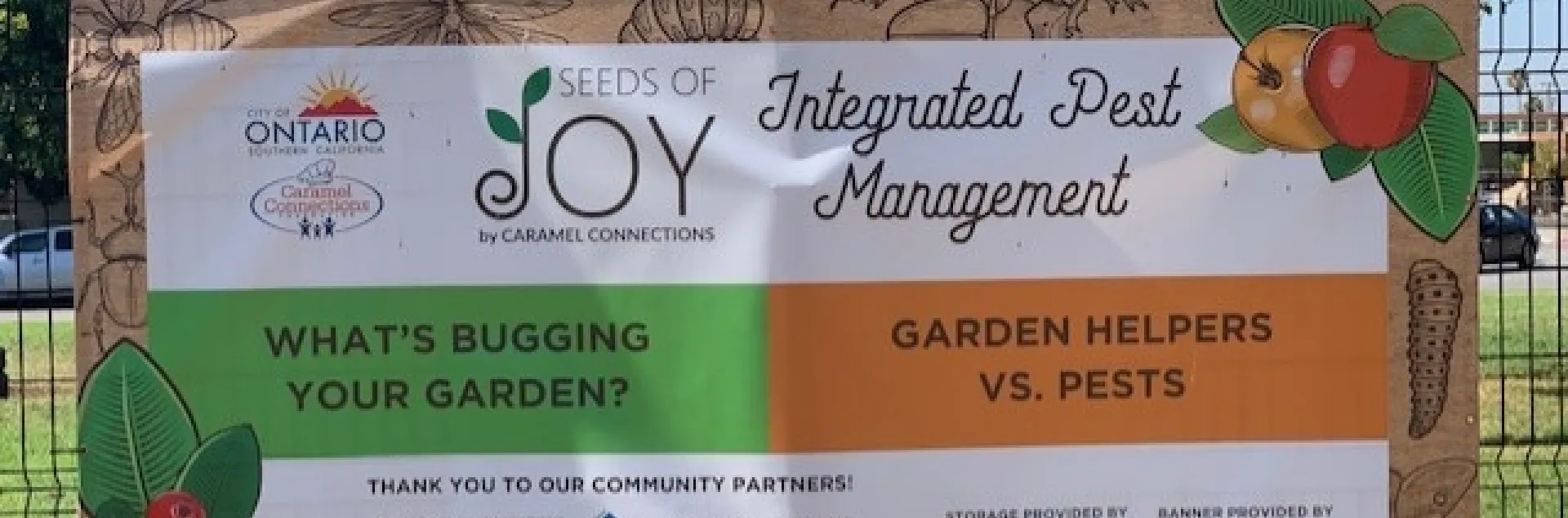 seeds of joy community garden ontario
