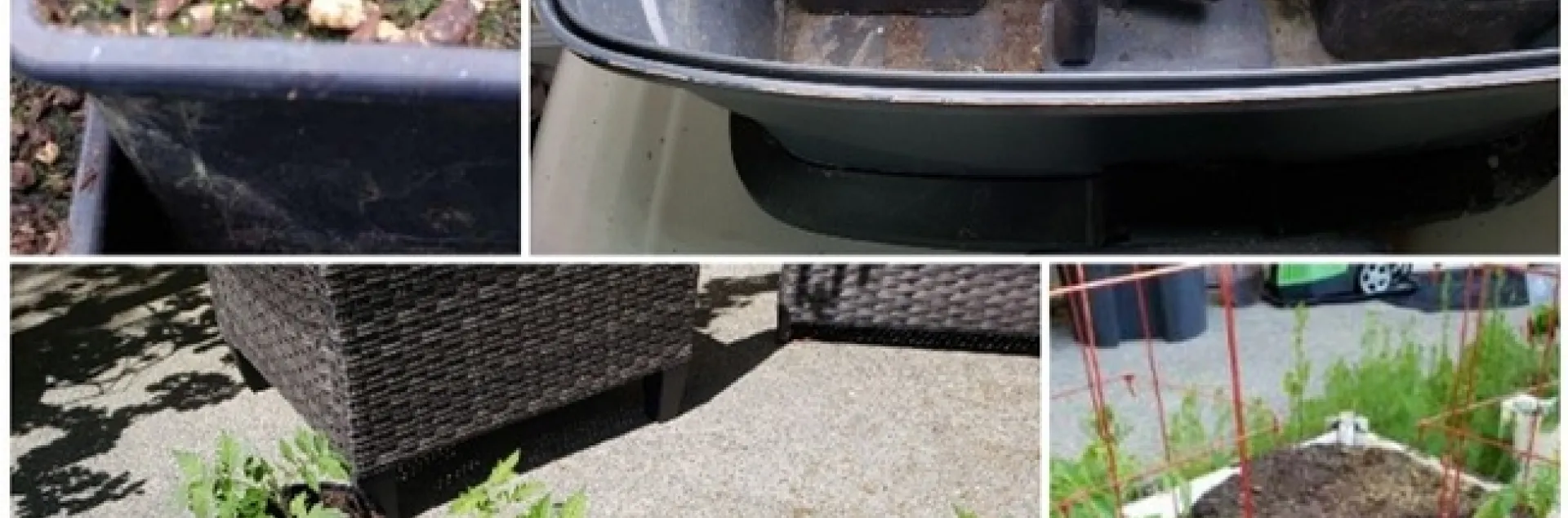 photos by Nancy Forest