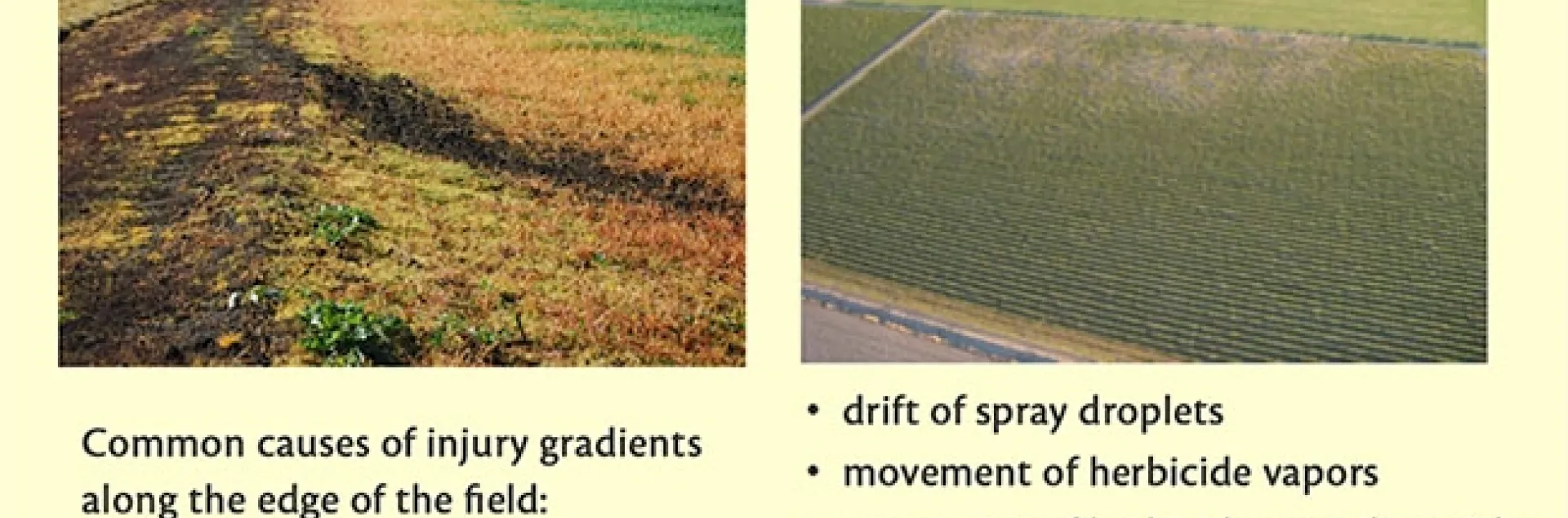 Example screen from the course