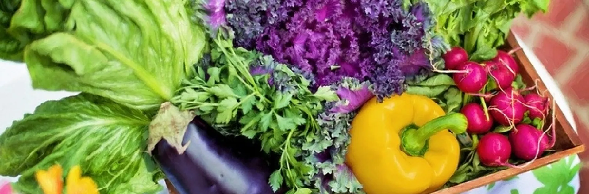 Box of vegetables including lettuce, radishes, cabbage, eggplant, parsley and a pepper.