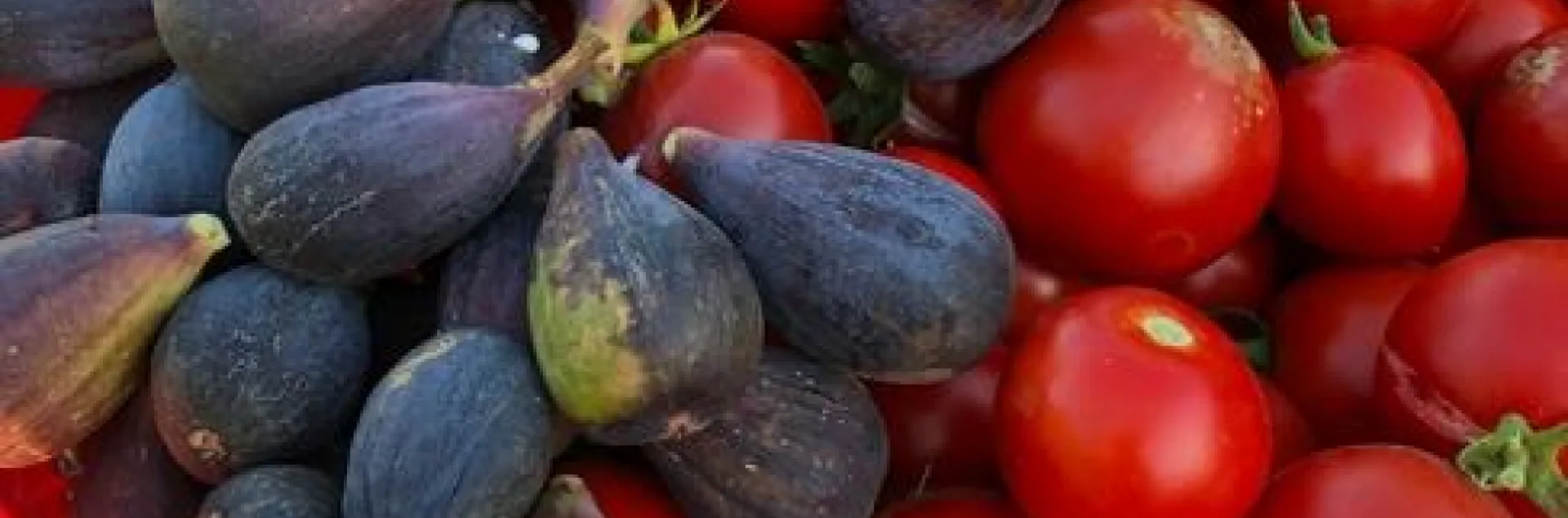 Photo by Patty Smith