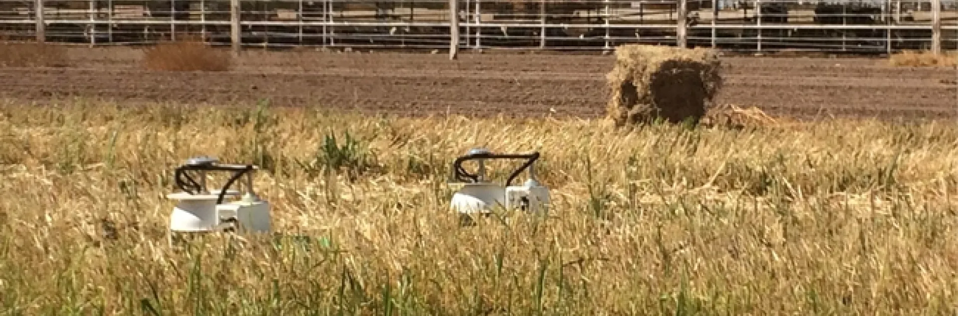 Cámaras automatizadas miden las emisiones de gas en la tierra en un campo de pasto Sudán.