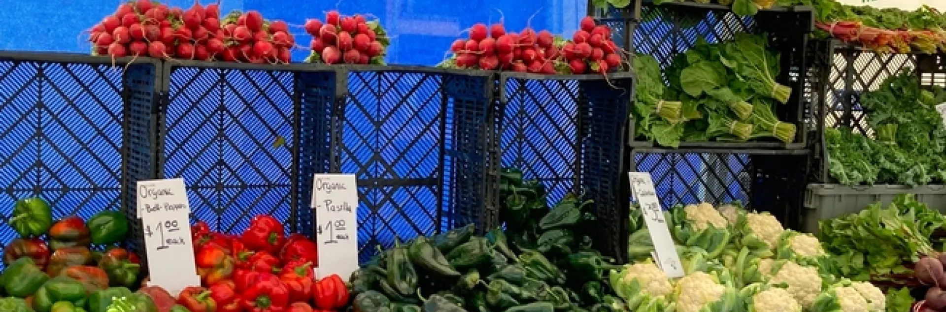 Diversos vegetales frescos a la venta en un mercado de granjeros.