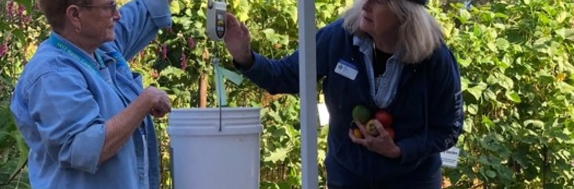 Rae Cecchettini and Jan Manns are demonstrating weighing the harvest from the Family Bed at Our Garden. Photo by Lori Palmquist.