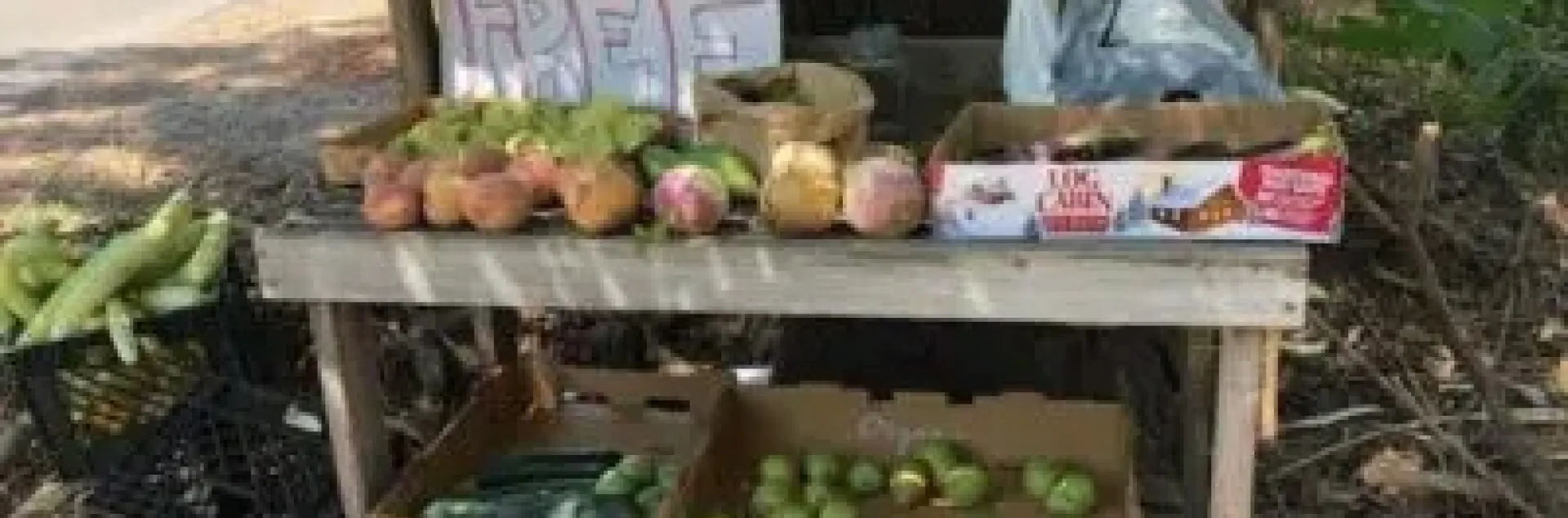 An example of a neighborhood food exchange table, Butte County Local Food Network