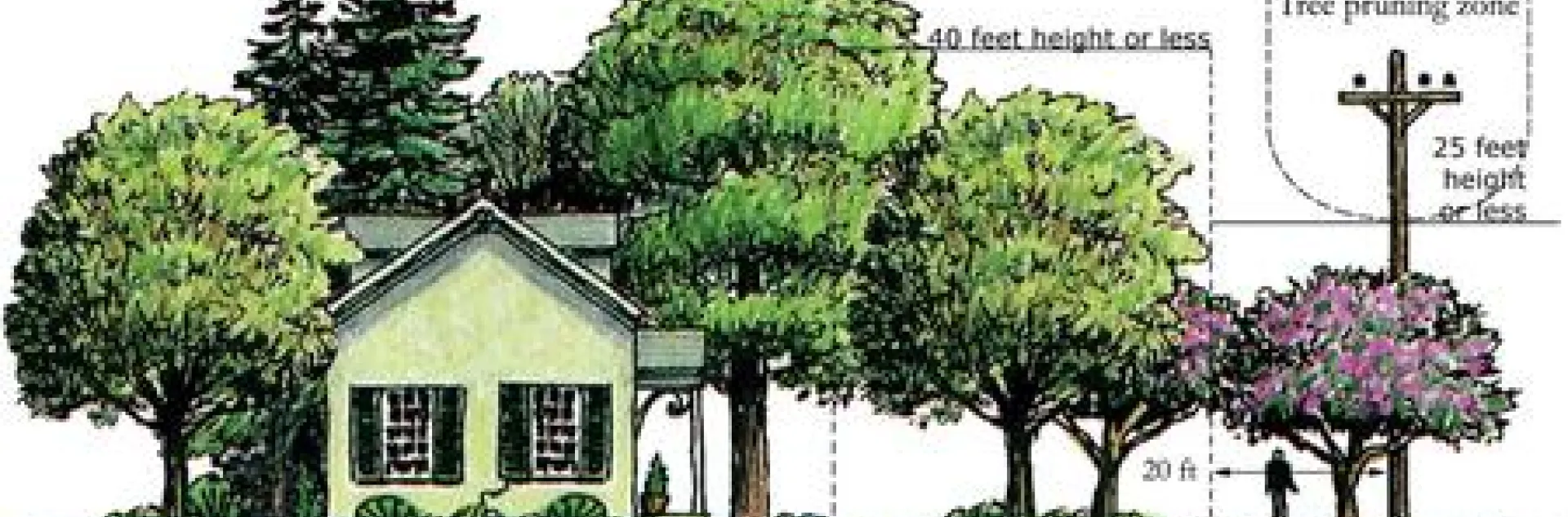 Right_tree_Right_Place