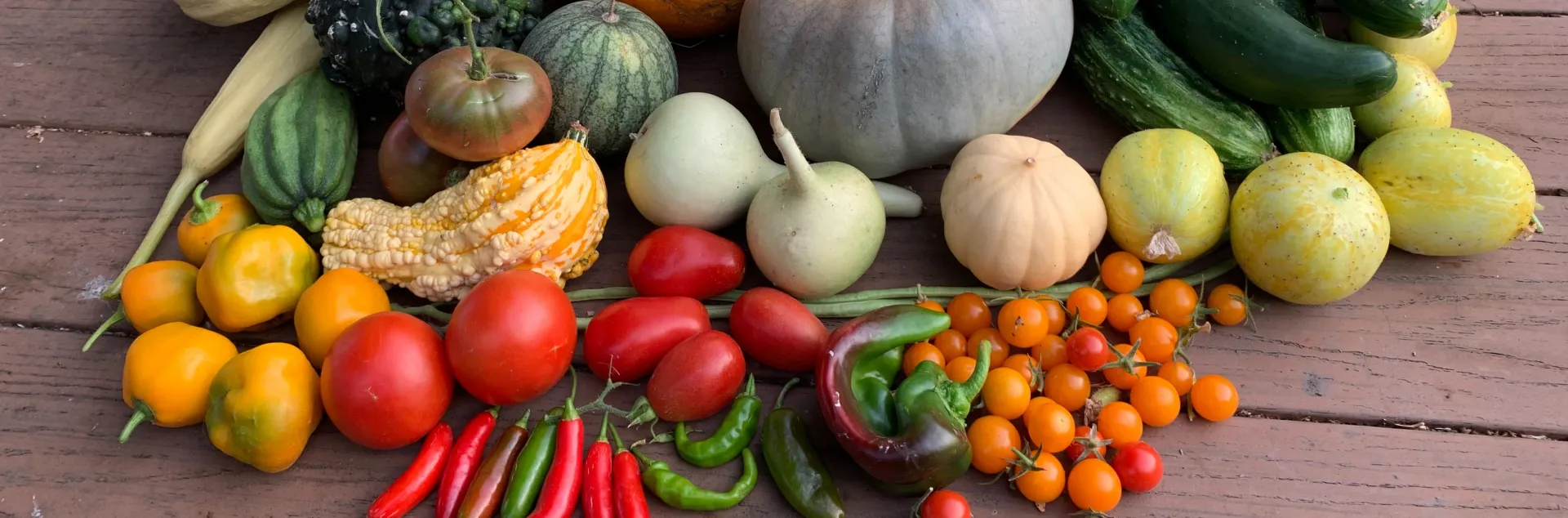 An assortment of summer vegetables including tomatoes, peppers, cucumbers, pumpkins, and more.