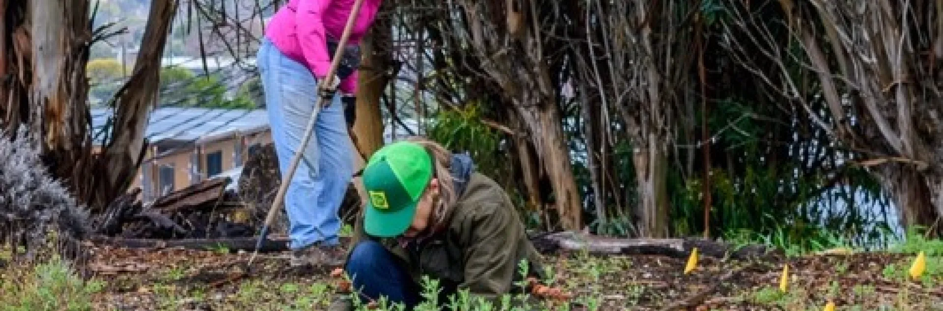 Liz Rottger and Liv Imset work in the Pollinator Garden at the Water Conservation Garden. Photo by Fletcher Oakes.