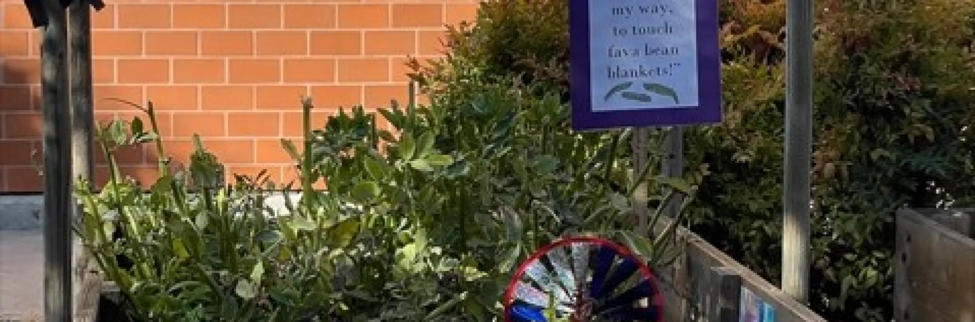 Jack London Elementary School Garden in Antioch. Photo by Kate Verhoef