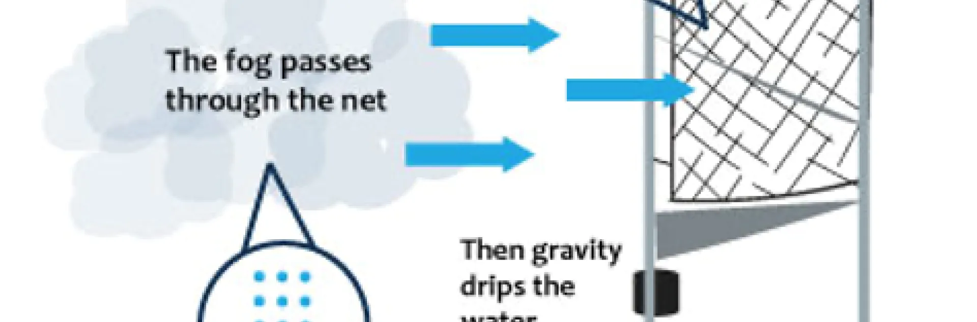 Collecting water from fog with net system. Illustration courtesy of Bayside Fog Collectors.