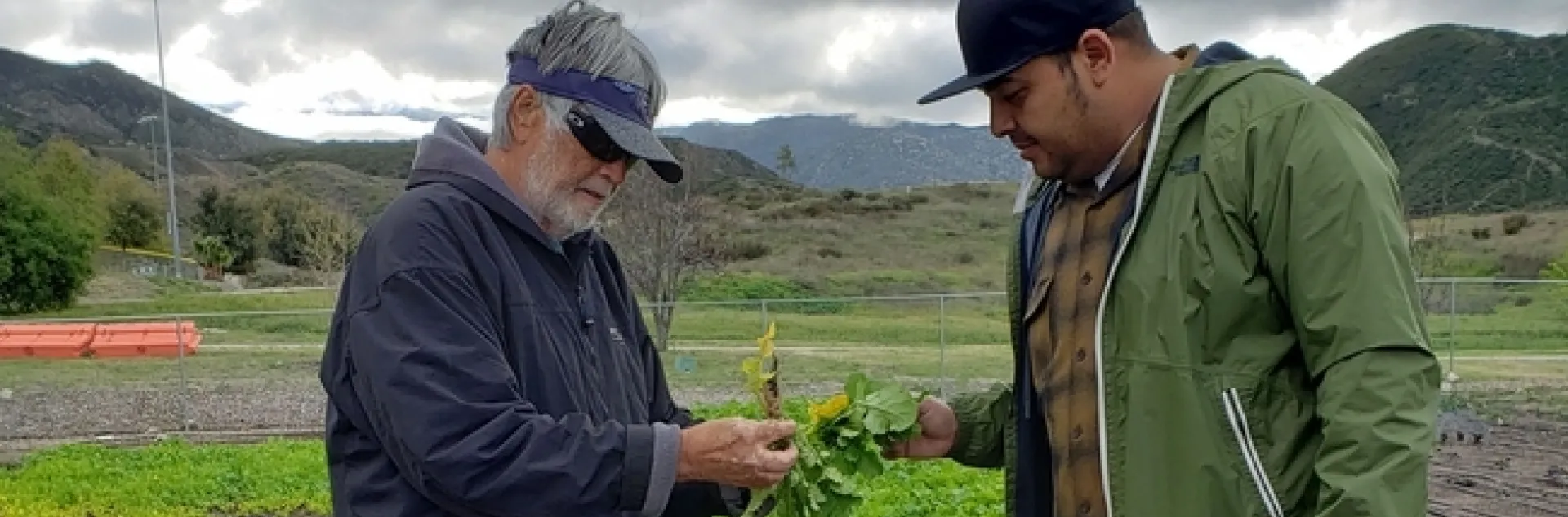 Dos hombres revisan una planta.