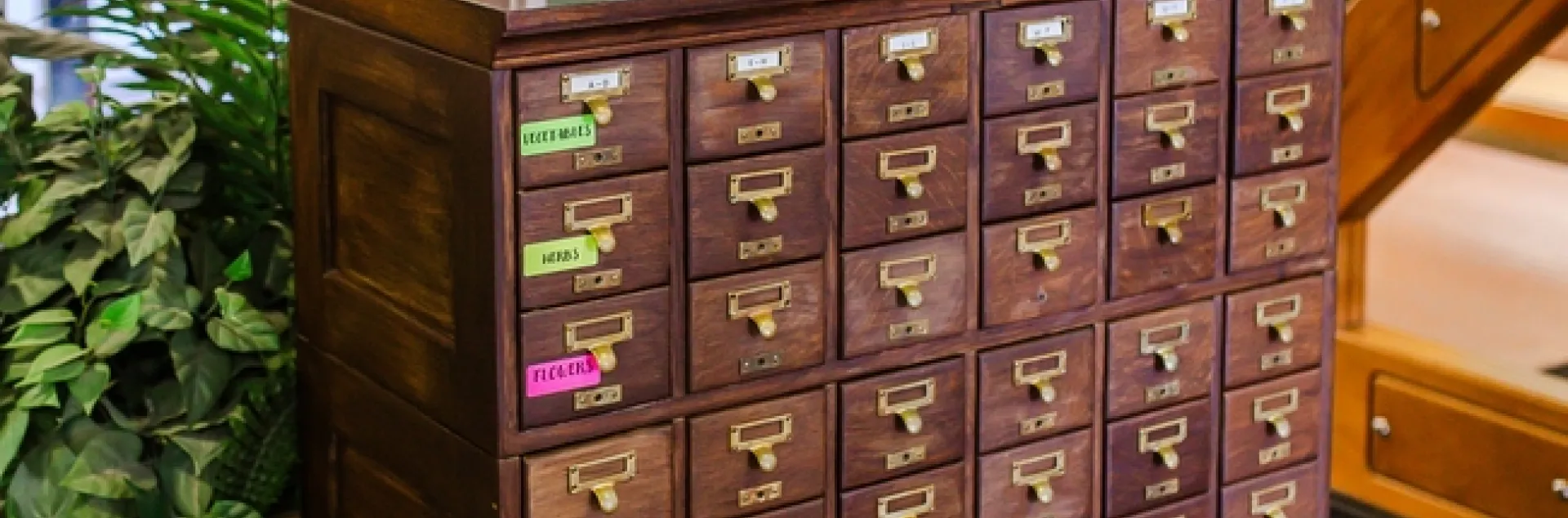 A vintage oak card catalog houses the seed library in the Clovis public library. (All photos: Sarah del Pozo)