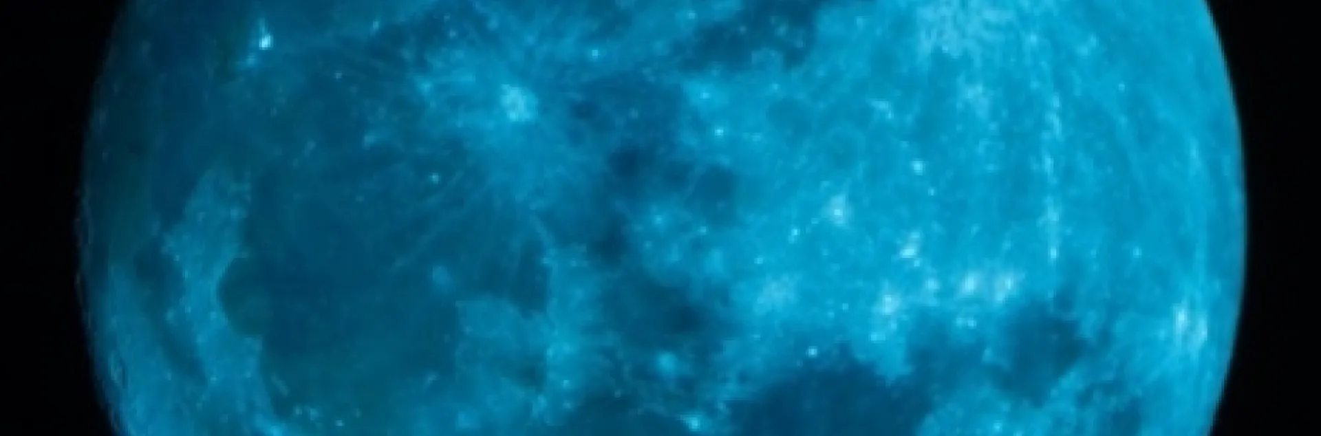 Blue Moon | Under the Solano Sun