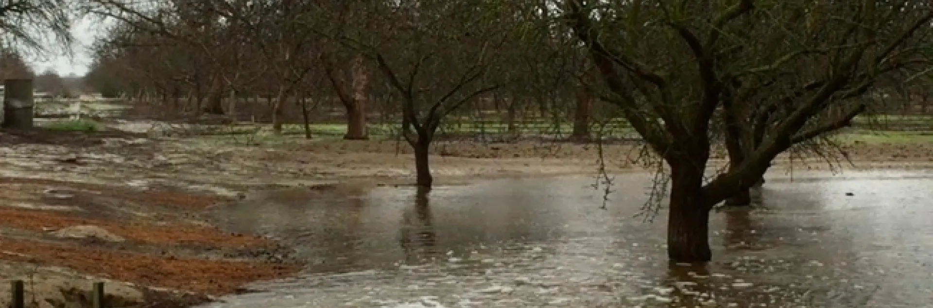 Recarga de agua subterránea en una huerta de almendras.