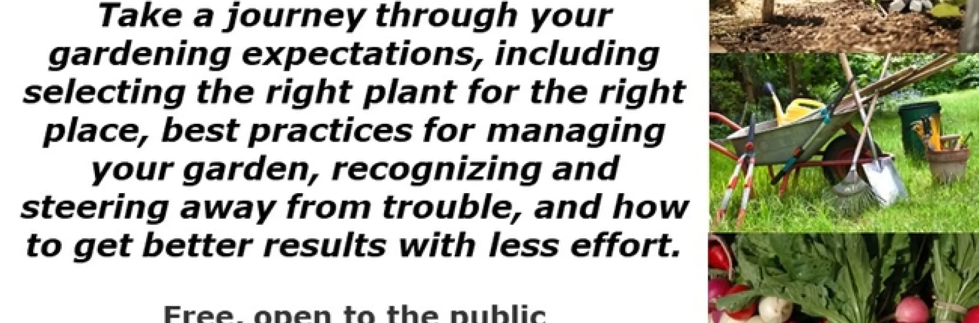 Effortless Excellence: Transform Your Garden Expectations!