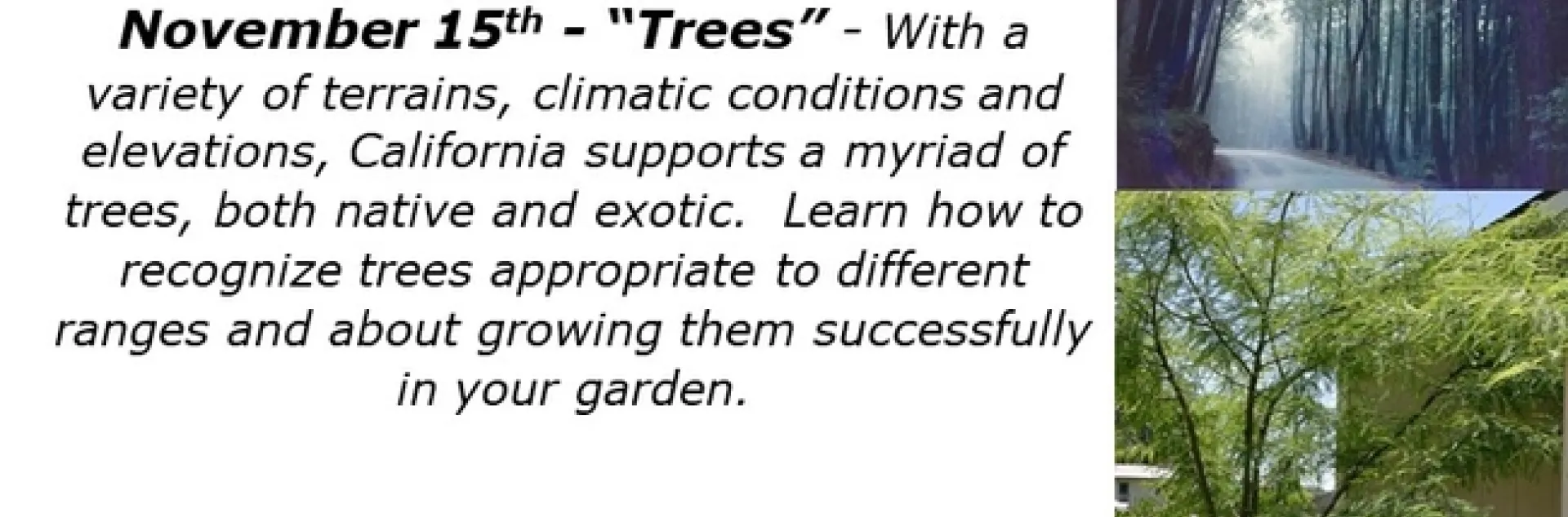 Dive into the World of Trees – Identify, Grow, and Transform Your ...