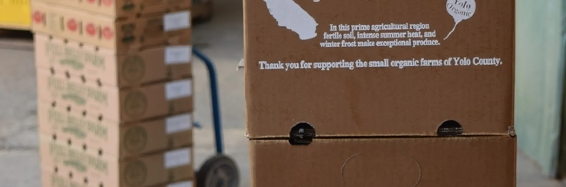 En la foto se aprecian varias cajas sobre una carretilla de mano o diablito.